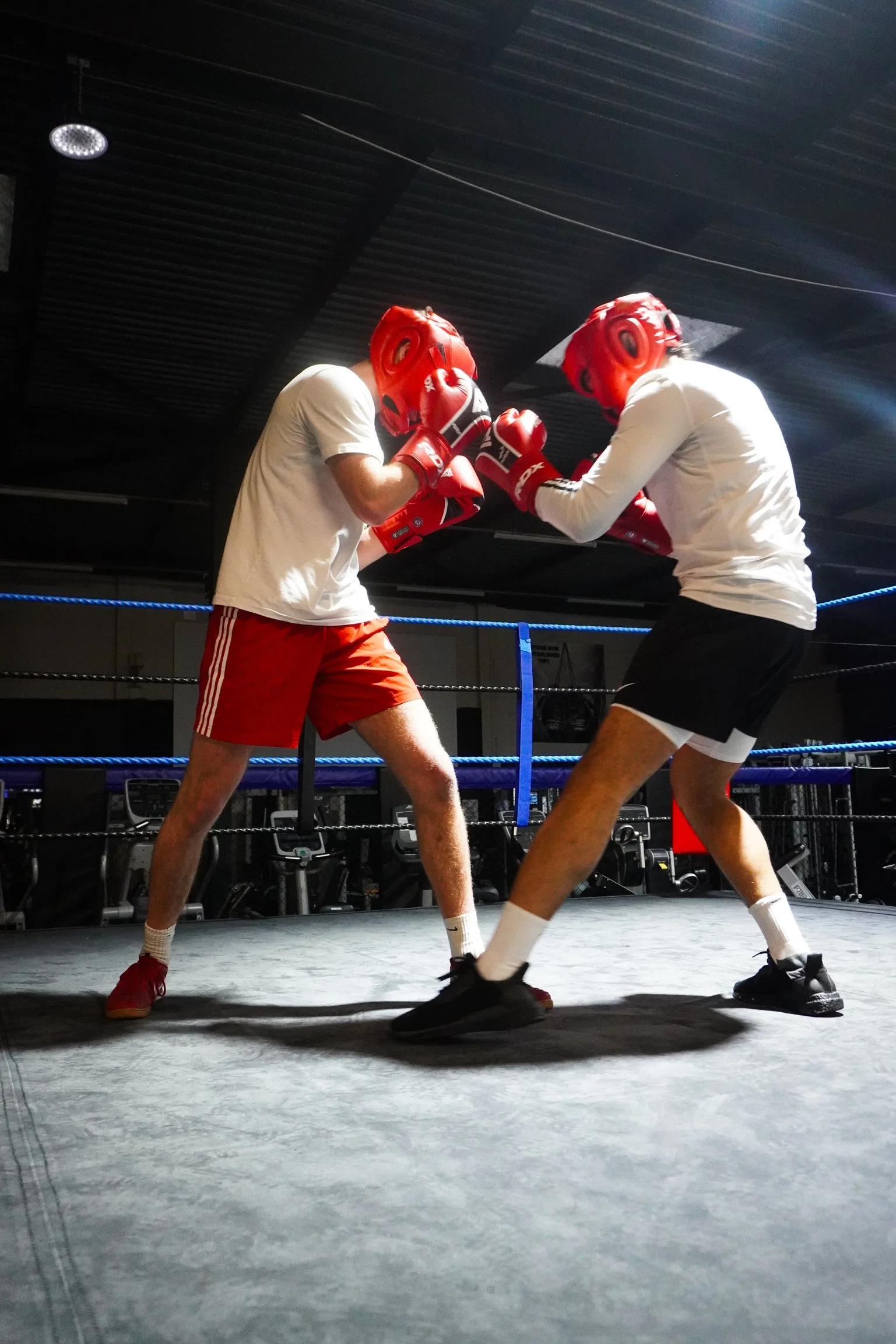 From Champion to Director: Emma's Knockout Journey to Running the Ultimate Fight Night Showdown