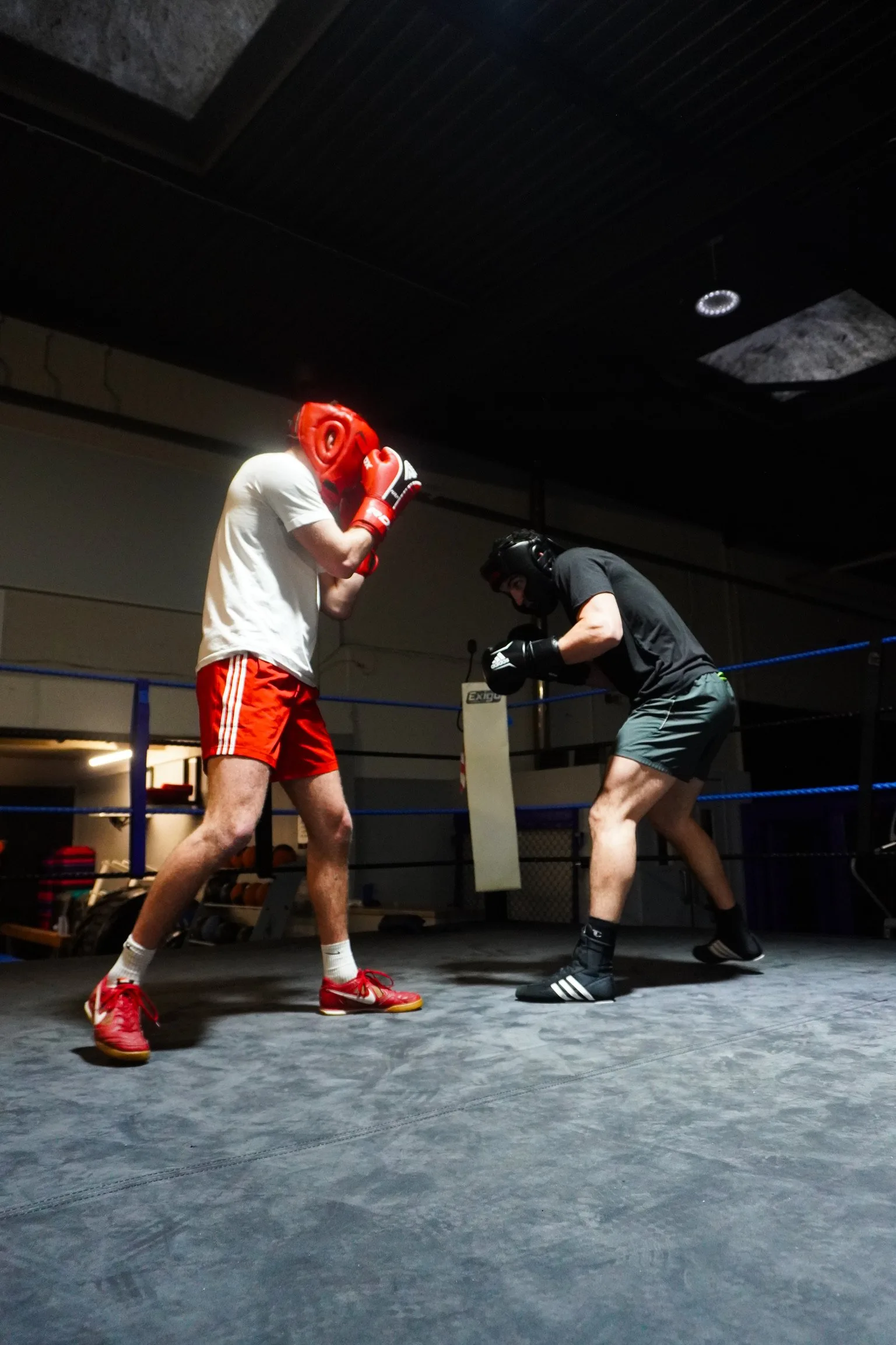 From Champion to Director: Emma's Knockout Journey to Running the Ultimate Fight Night Showdown