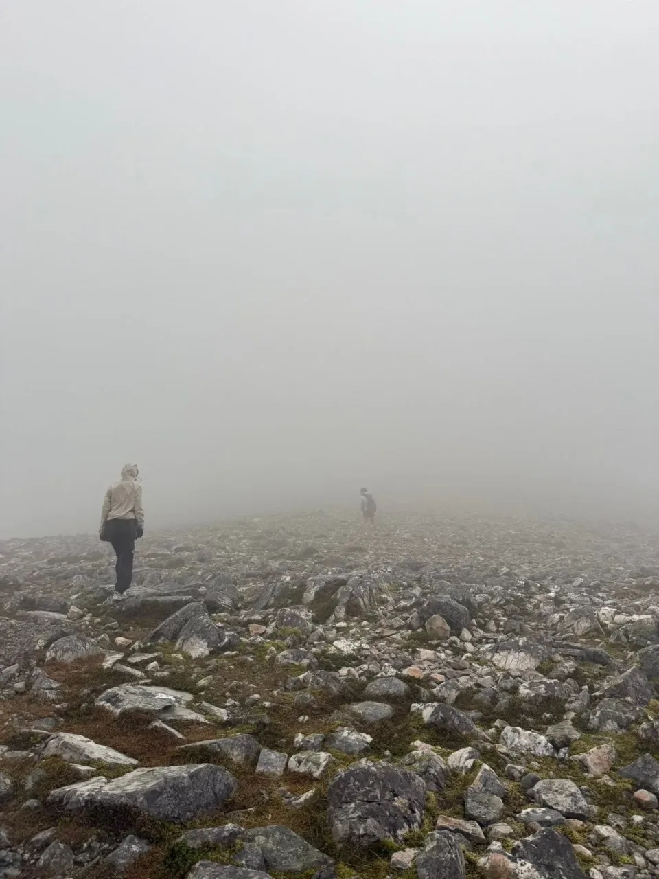 Mist on the Munros
