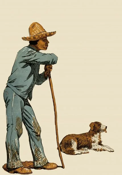A Sonnet for the Dog Days