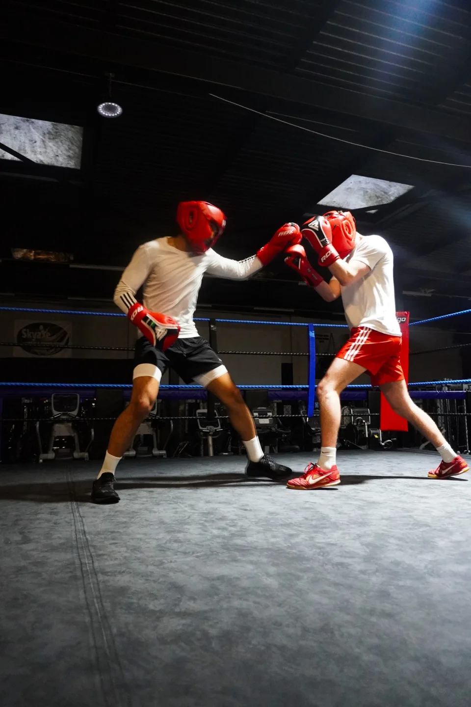 From Champion to Director: Emma's Knockout Journey to Running the Ultimate Fight Night Showdown