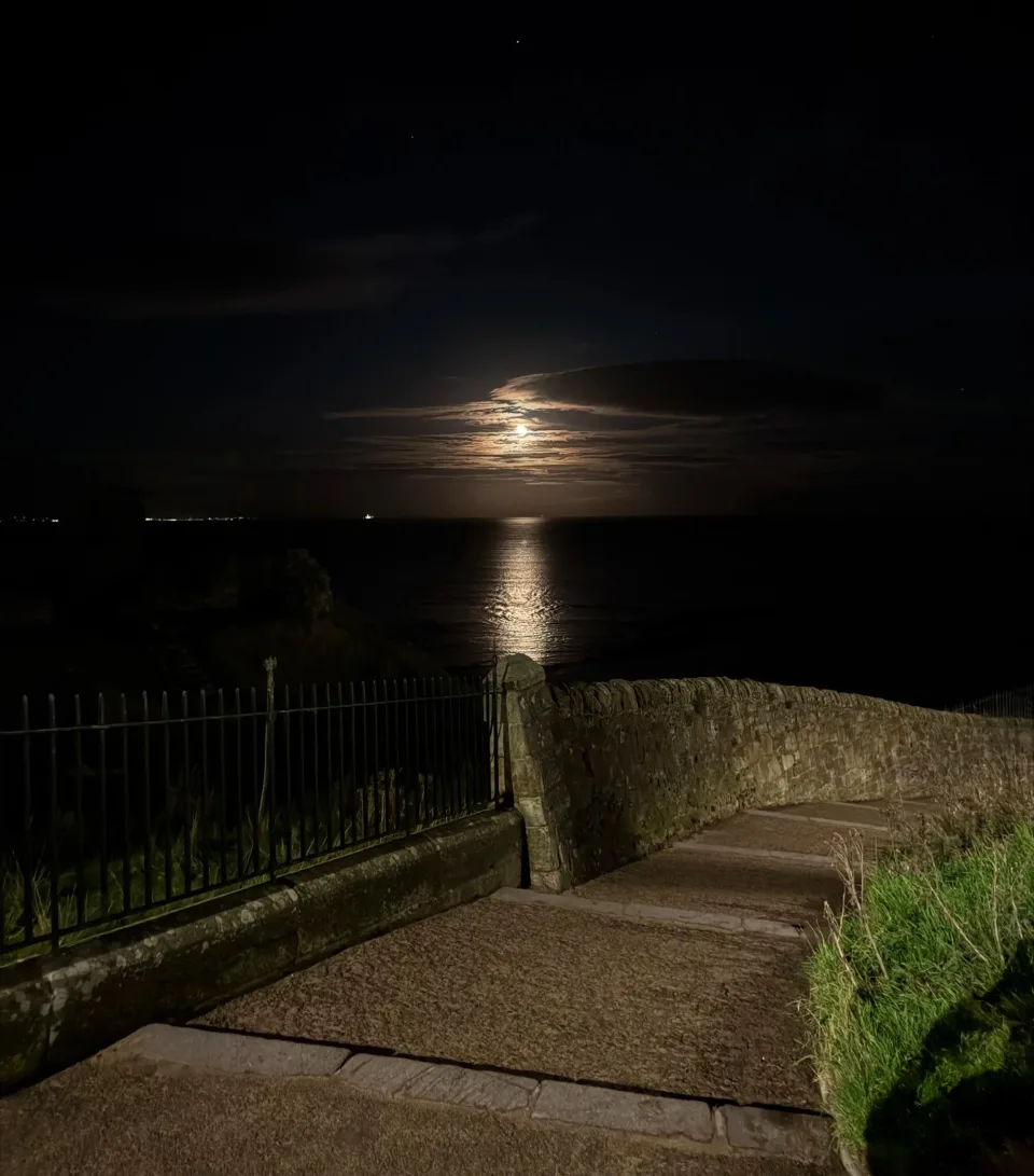 November Nights: Poetry Collection