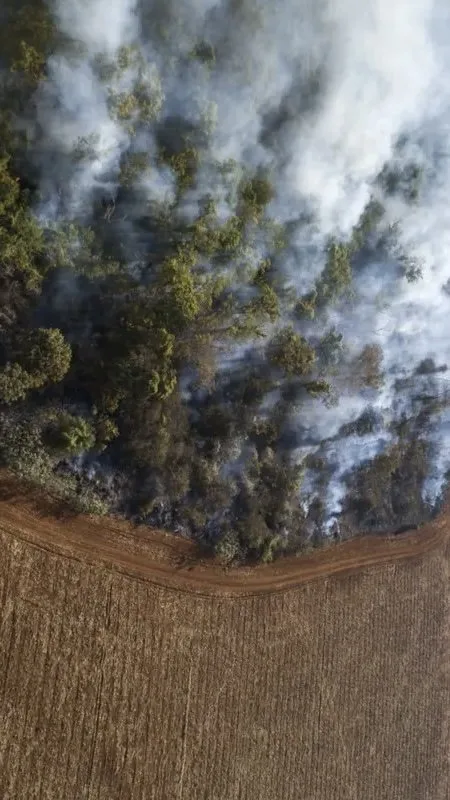 The Amazon Rainforest: A Crucial Tipping Point in the Fight Against Climate Change
