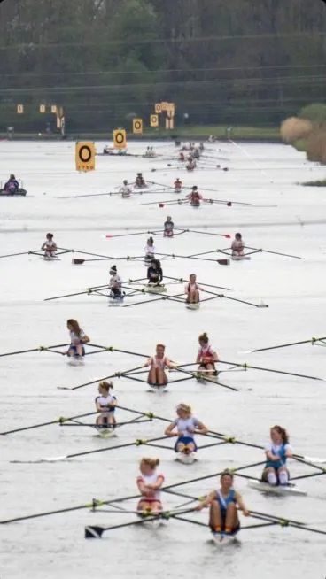 Hook-up Culture in Co-ed Sports: A Follow Up